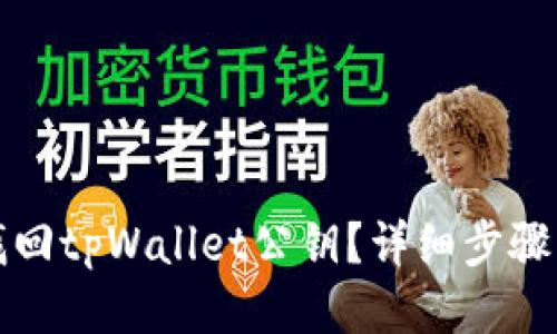 如何找回tpWallet公钥？详细步骤与技巧