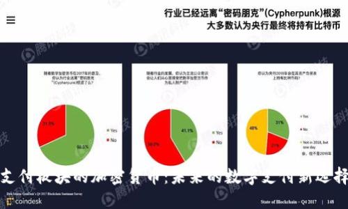 支付板块的加密货币：未来的数字支付新选择