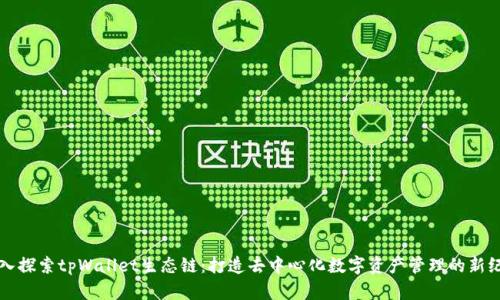 深入探索tpWallet生态链：打造去中心化数字资产管理的新纪元