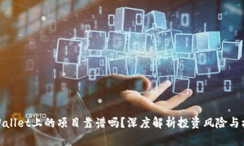 TPWallet上的项目靠谱吗？深度解析投资风险与机会