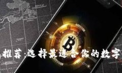 数字货币钱包推荐：选择