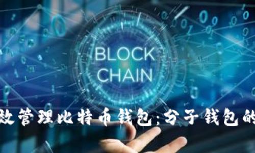如何有效管理比特币钱包：分子钱包的全攻略
