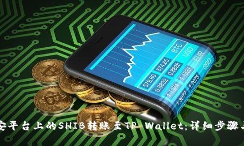 如何将币安平台上的SHIB转账至TP Wallet：详细步骤与注意事项