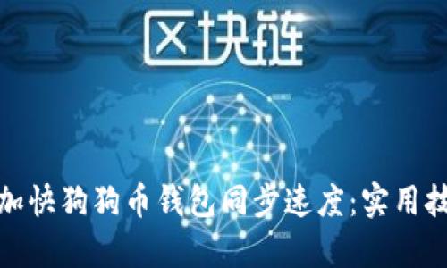 如何有效加快狗狗币钱包同步速度：实用技巧与步骤