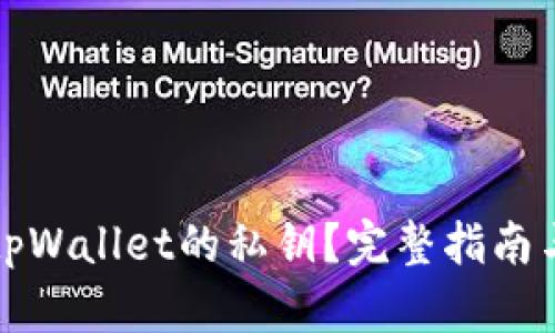 如何找回tpWallet的私钥？完整指南与解决方案