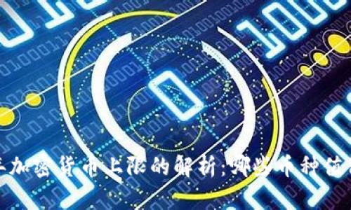 2023年加密货币上限的解析：哪些币种值得关注？