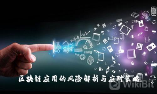 区块链应用的风险解析与应对策略