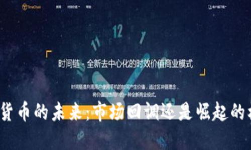 加密货币的未来:市场回调还是崛起的机遇?